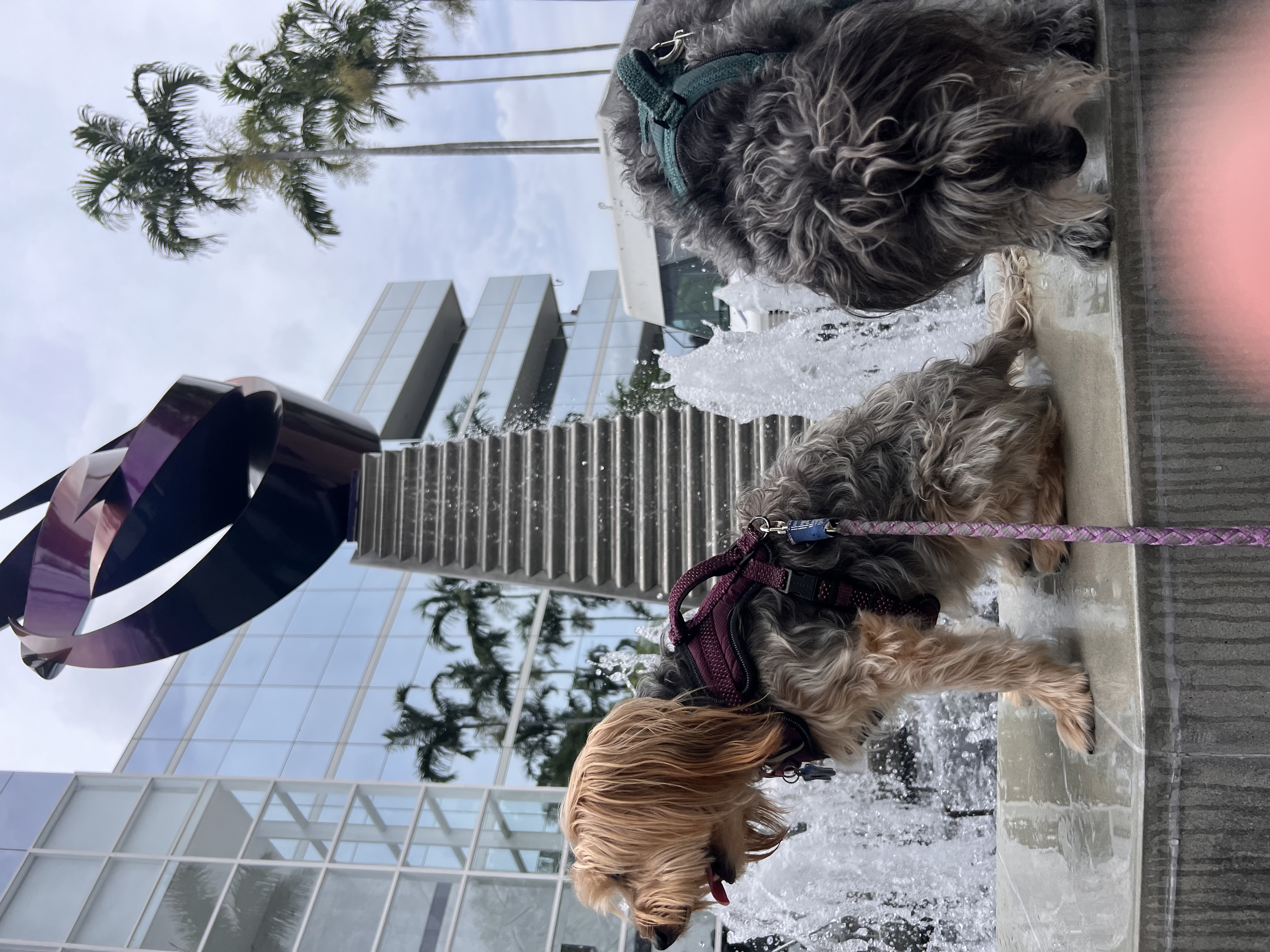 ./2023/08 - Miami/IMG_3951.JPG